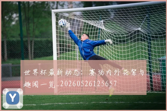 世界杯最新动态：赛场内外花絮与趣闻一览_20260526125657