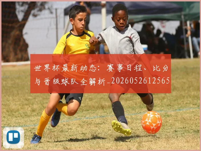 世界杯最新动态：赛事日程、比分与晋级球队全解析_20260526125656