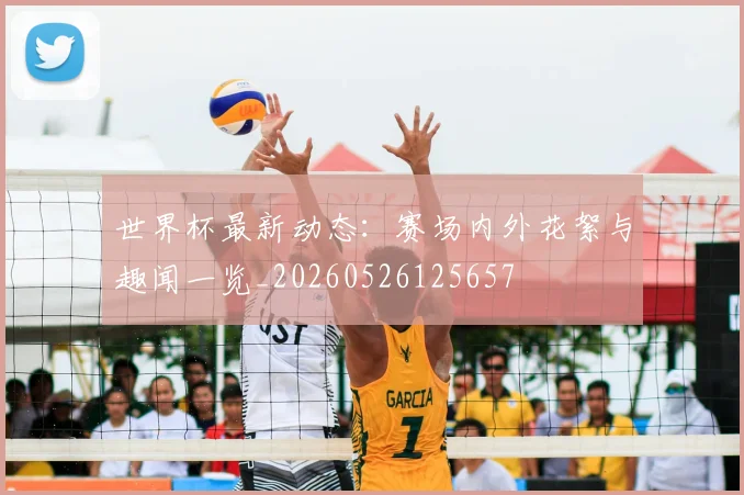世界杯最新动态：赛场内外花絮与趣闻一览_20260526125657